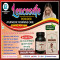 Leucosafe Powder (Pack of 01)